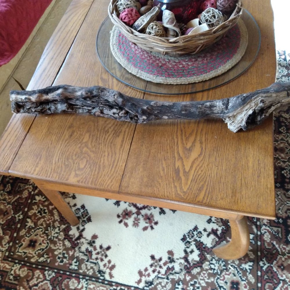 Unique Gnarly Wood Branch Rustic Decor Fairy Garden Taxidermy